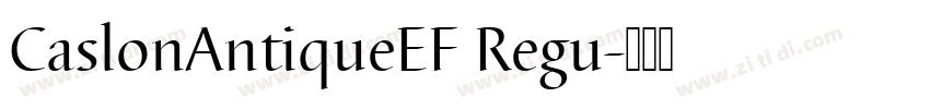 CaslonAntiqueEF Regu字体转换